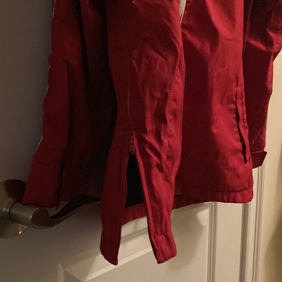 Equine Couture - Picture 5 of 6